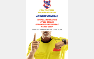 RECHERCHE UN/UNE ARBITRE CENTRAL