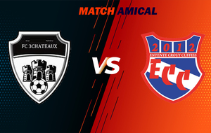 MATCH AMICAL - SENIORS - FC 3CHATEAUX