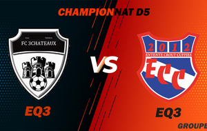 MATCH SENIOR 3 - CHAMPIONNAT D5 - FC 3CHATEAUX 3 VS ECC