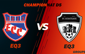 MATCH SENIOR 3 - CHAMPIONNAT D5 - ECC VS FC 3CHATEAUX 3