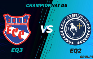 MATCH SENIOR 3 - CHAMPIONNAT D5 - DOM - ECC3 VS BELLEU US2