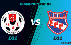 MATCH SENIOR 1 - CHAMPIONNAT D2 - EXT - FERE EN TARDENOIS UA1 VS ECC1